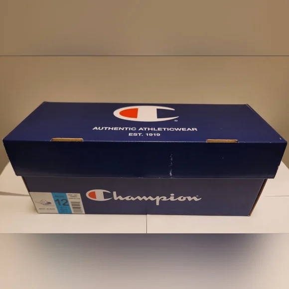 Champions Slides - Picture 6 of 6